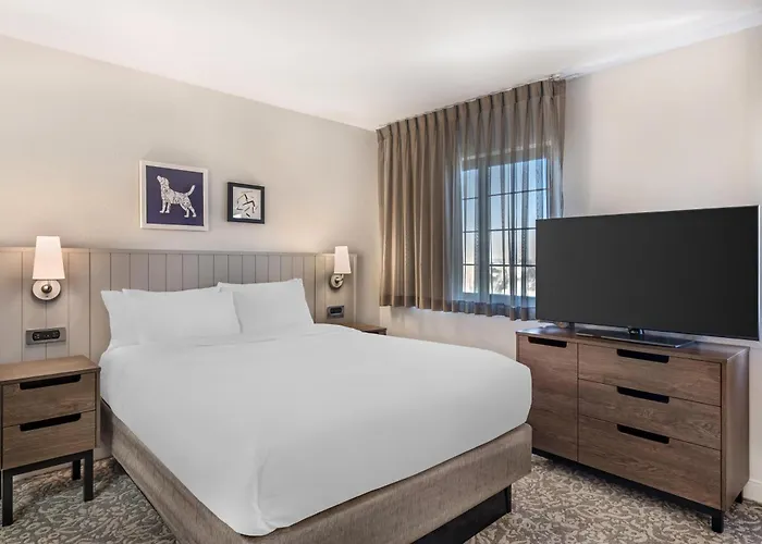 Sonesta Es Suites Anaheim Resort Area